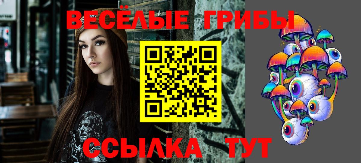 Назарово  Псилоцибиновые грибы GOLDEN TEACHER  Вход с VPN 