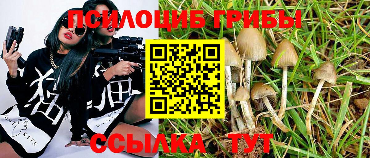 Псилоцибиновые грибы мухоморы Назарово